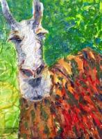 Llama Drama by Dani Ashbridge