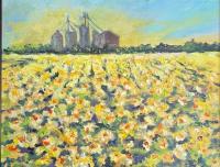 Organic Sunflower Field by Beverly Perdue by Samaritan's Purse