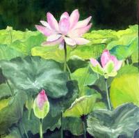 Lotus Land by Gayle Barber